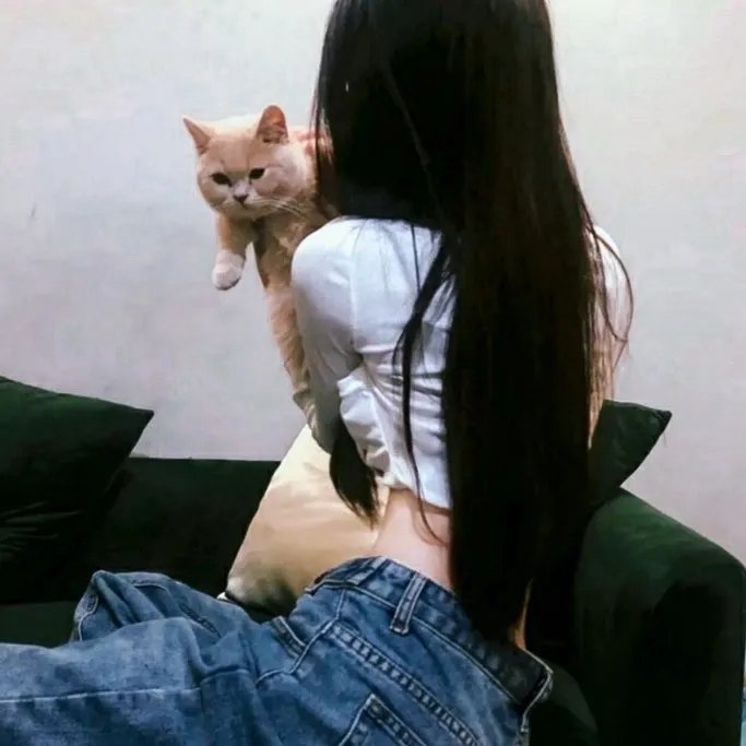 蜘蛛夫人